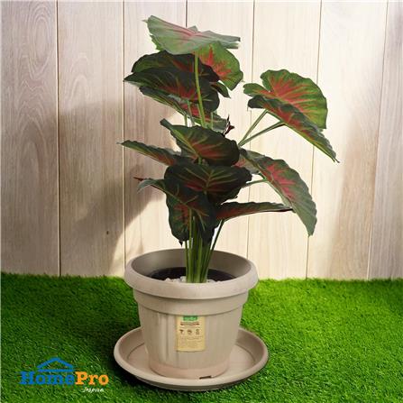 จานรองกระถางชีวภาพย่อยสลาย SPRING 30 ซม. สีน้ำตาลอ่อน_3