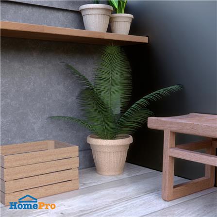 กระถางชีวภาพย่อยสลาย SPRING LOUIS 25 ซม. สีน้ำตาลอ่อน_3