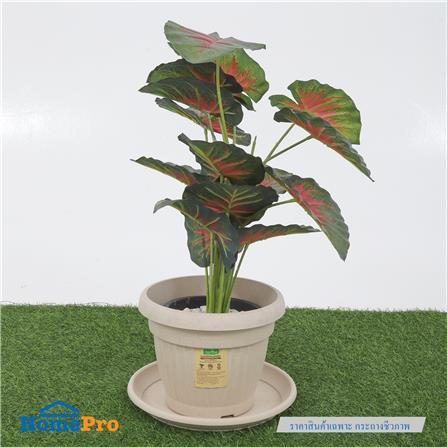 กระถางชีวภาพย่อยสลาย SPRING LOUIS 25 ซม. สีน้ำตาลอ่อน_4