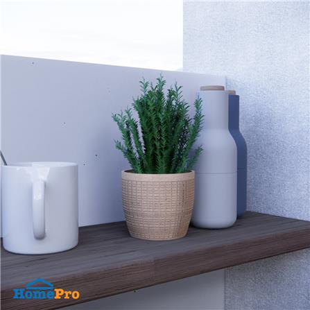 กระถางชีวภาพย่อยสลาย SPRING ORCHID 9.6 ซม. สีน้ำตาลอ่อน_4