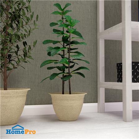 กระถางชีวภาพย่อยสลาย SPRING SUMO 18.3 ซม. สีน้ำตาลอ่อน_4