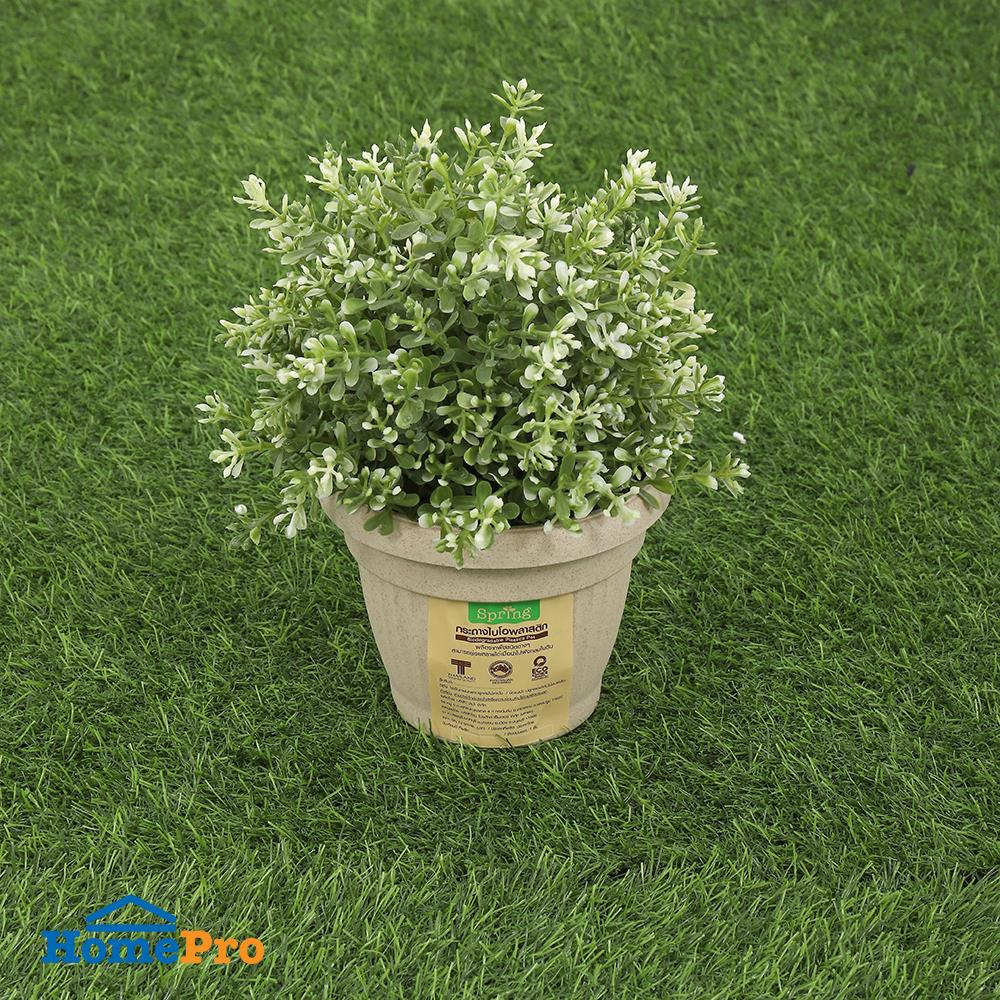 กระถางชีวภาพย่อยสลาย SPRING LOUIS 13 ซม. สีน้ำตาลอ่อน