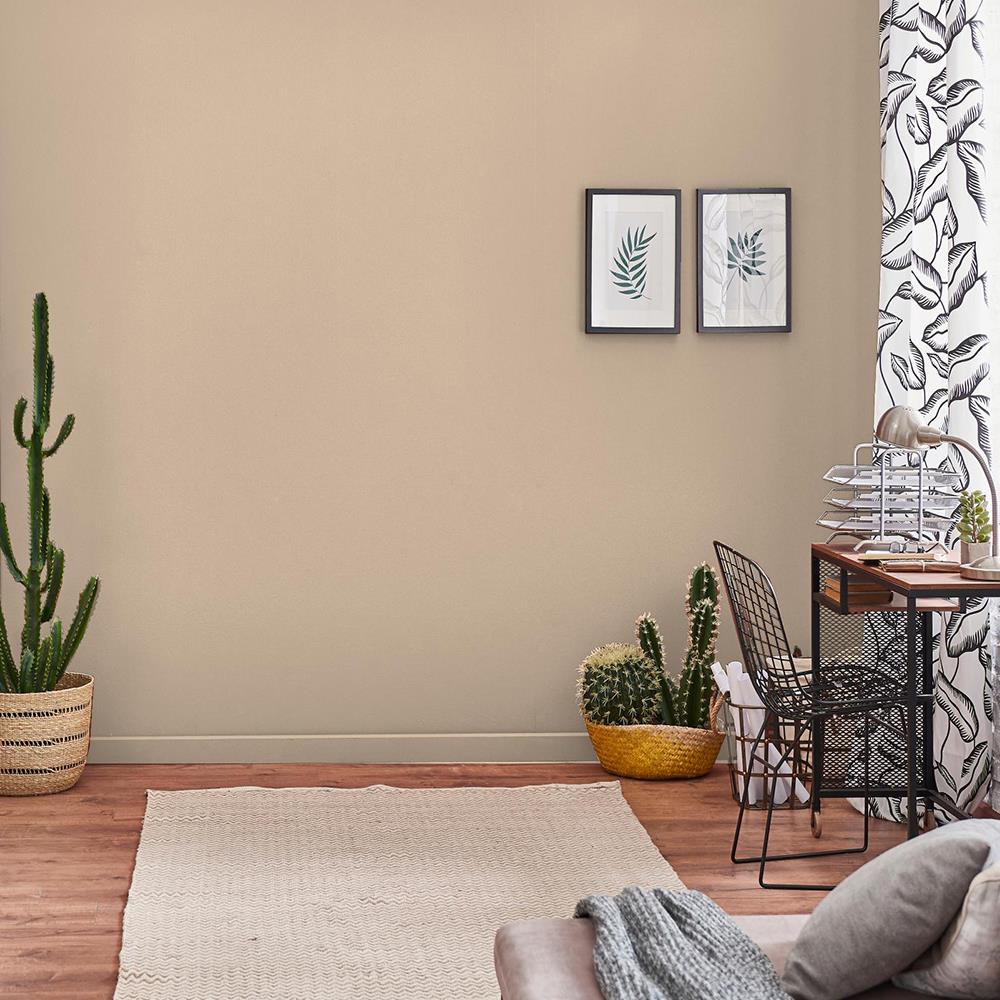 สีน้ำทาภายใน TOA 4 SEASONS ADVANCE #8570 สี REGINA BEACH ด้าน 2.5 แกลลอน