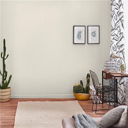 สีน้ำทาภายใน TOA 4 SEASONS ADVANCE #8460 สี BRIDAL WREATH ด้าน 2.5 แกลลอน_3