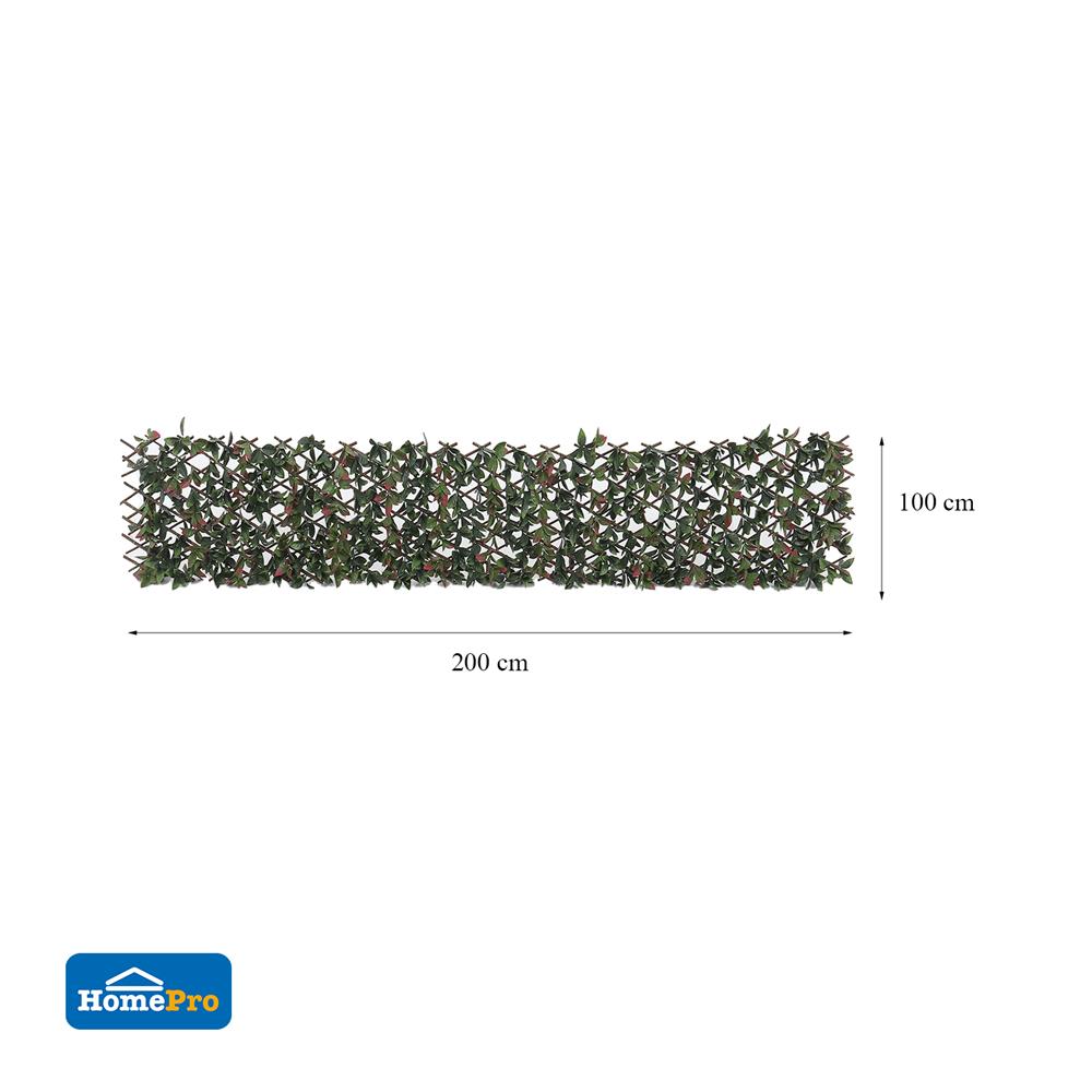 รั้วไม้อเนกประสงค์ ยืด-หด SPRING PHOTIN 200x100 ซม.