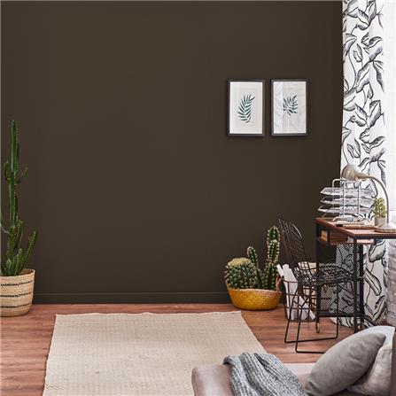 สีน้ำทาภายใน TOA 4 SEASONS ADVANCE #8757 สี COFFEE CONNOISSEUR ด้าน 2.5 แกลลอน_3