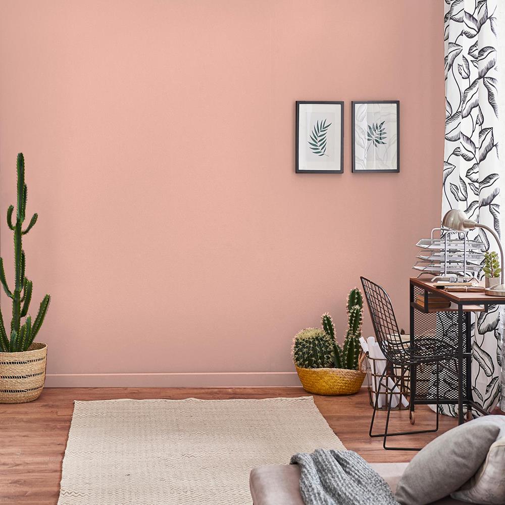 สีน้ำทาภายใน TOA 4 SEASONS ADVANCE #8041 สี PINK MORN ด้าน 2.5 แกลลอน