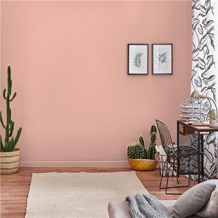 สีน้ำทาภายใน TOA 4 SEASONS ADVANCE #8041 สี PINK MORN ด้าน 2.5 แกลลอน_3