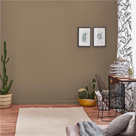 สีน้ำทาภายใน TOA 4 SEASONS ADVANCE #8544 สี UNDER COVER ด้าน 2.5 แกลลอน_3