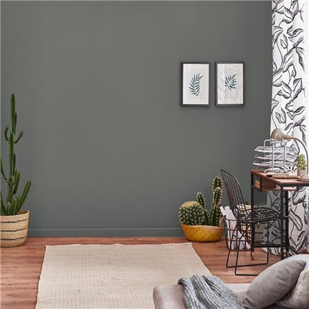 สีน้ำทาภายใน TOA 4 SEASONS ADVANCE #8328 สี SLIPPERY SHALE ด้าน 2.5 แกลลอน_3