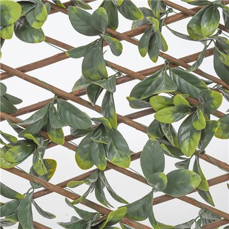 รั้วไม้อเนกประสงค์ ยืด-หด SPRING BAY 200x100 ซม._6