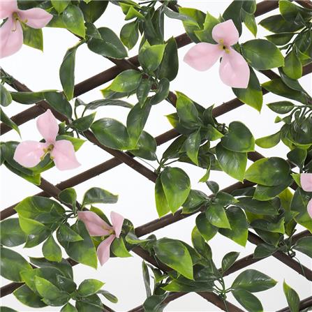 รั้วไม้อเนกประสงค์ ยืด-หด SPRING BERRY 200x100 ซม._6