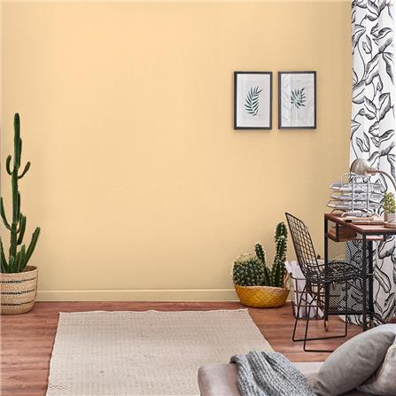 สีน้ำทาภายใน TOA 4 SEASONS ADVANCE #7977 สี ARIANA  ด้าน 2.5 แกลลอน_3