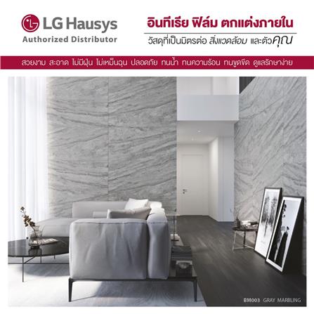 วอลล์สติ๊กเกอร์ LX HAUSYS BM003 1.22X2 ม. สีเทา_3