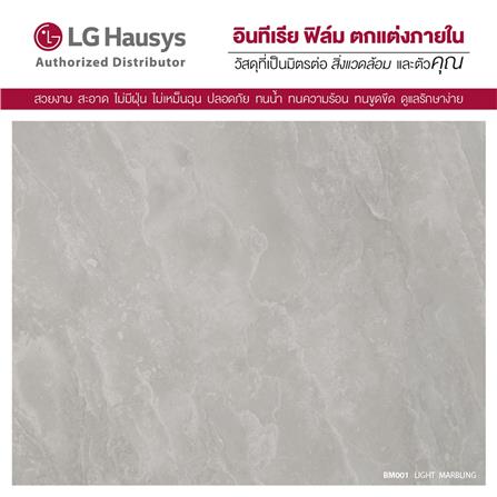 วอลล์สติ๊กเกอร์ LX HAUSYS BM001 1.22x2 ม. สีเทา_1