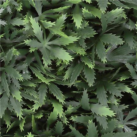 รั้วไม้อเนกประสงค์ ยืด-หด ME LIVING HASH 200X100 ซม._2