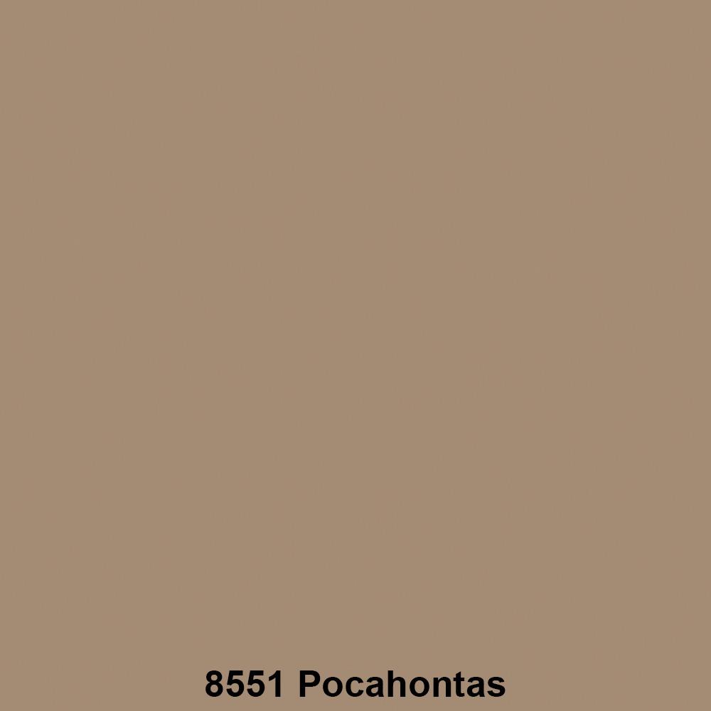 สีน้ำทาภายนอกTOA SUPERSHIELD ADVANCE #8551 สี POCAHONTAS เนียน 9 ลิตร