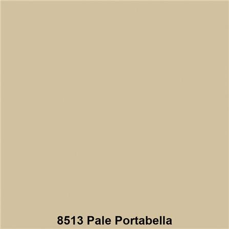 สีน้ำทาภายนอก TOA SUPERSHIELD ADVANCE 8513 สี PALE PORTABELLA เนียน 9 ลิตร_1