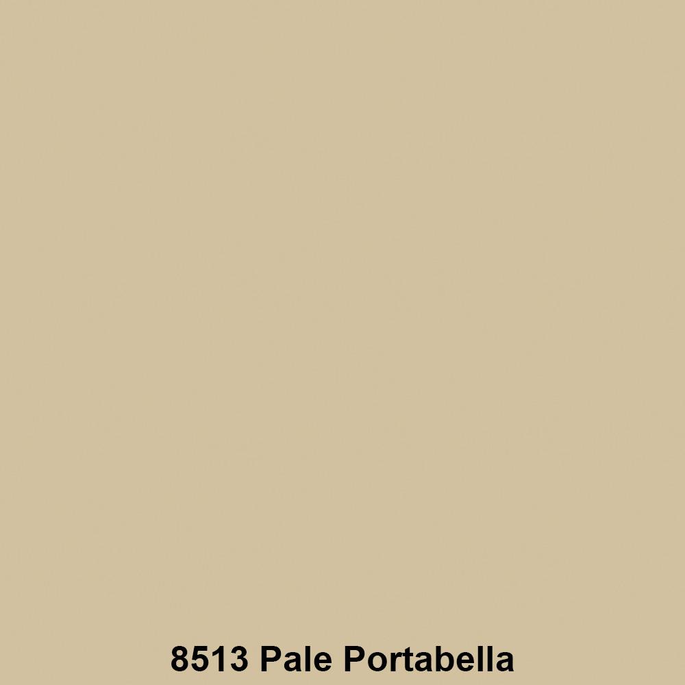 สีน้ำทาภายนอก TOA SUPERSHIELD ADVANCE 8513 สี PALE PORTABELLA กึ่งเงา 9 ลิตร