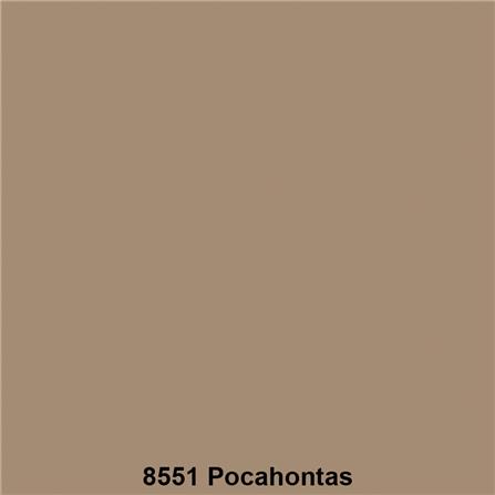 สีน้ำทาภายนอก ชนิดกึ่งเงา TOA SUPERSHIELD ADVANCE 8551 สี POCAHONTAS 9 ลิตร_1