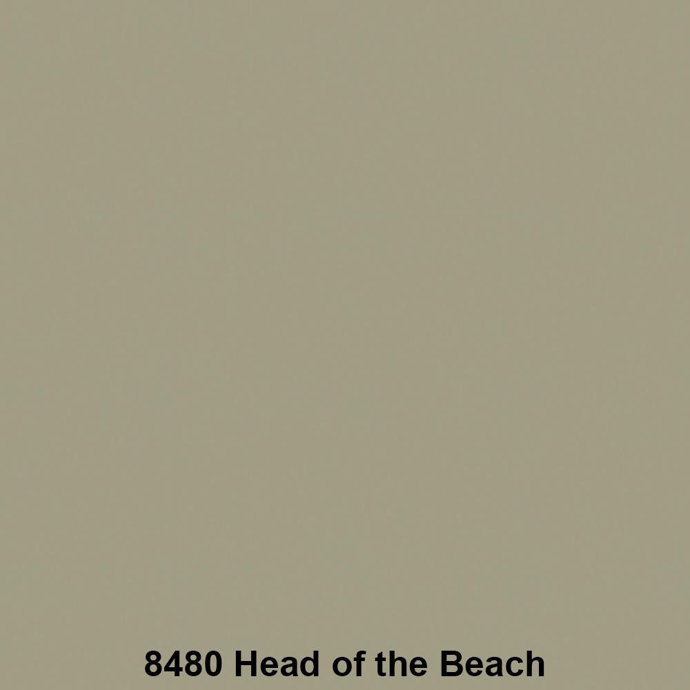 สีน้ำทาภายนอก TOA SHIELD-1 8480 สี HEAD OF THE BEACH กึ่งเงา 2.5 แกลลอน