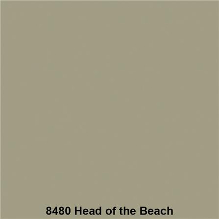 สีน้ำทาภายนอก TOA SHIELD-1 8480 สี HEAD OF THE BEACH กึ่งเงา 2.5 แกลลอน_1