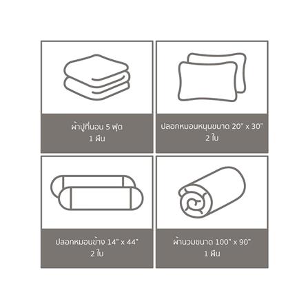 ชุดผ้าปูที่นอน 5 ฟุต (ชุด 6 ชิ้น) PREMIER SATIN ROYAL TOUCH SPC058_5