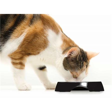 ชามใส่น้ำอาหารสัตว์ 2 หลุม CATIT สีเงิน/ดำ_2