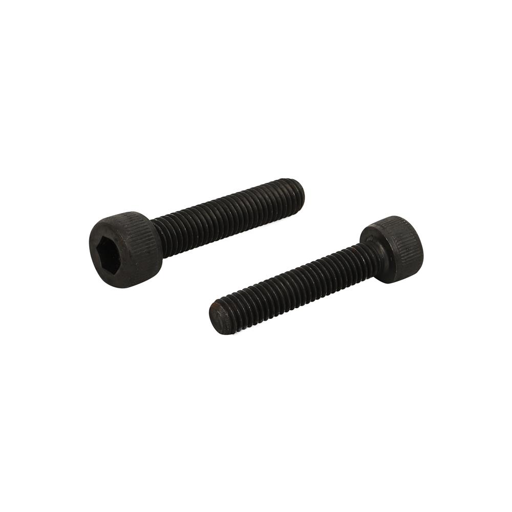 สกรูเกลียวมิลน็อตหัวจม DEXZON 5X25 มม. 8 ตัว