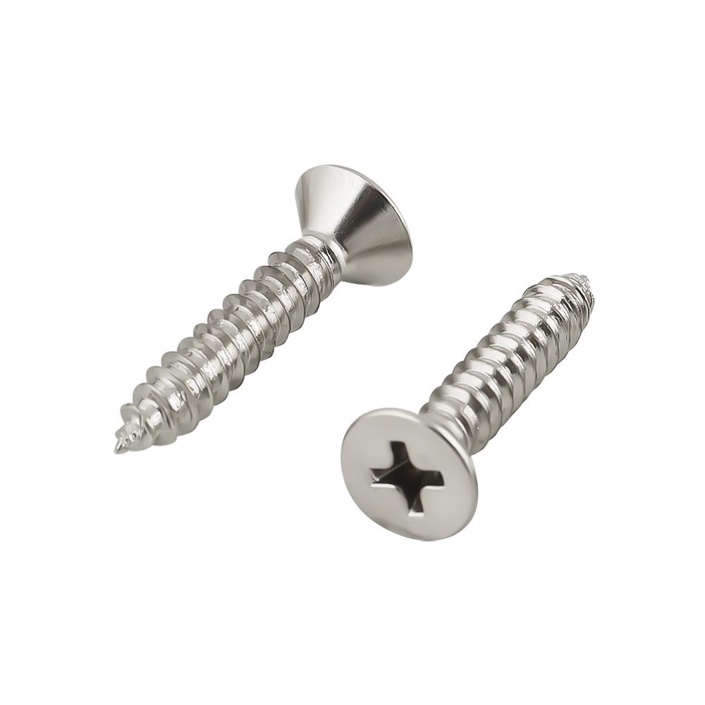 สกรูเกลียวปล่อย TF DEXZON 10X1 นิ้ว 25 ตัว