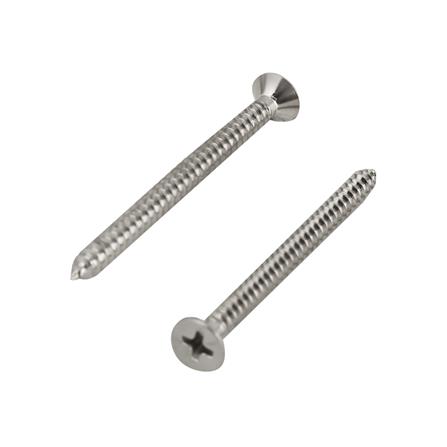 สกรูเกลียวปล่อย TF DEXZON 8X2 นิ้ว 25 ตัว_0