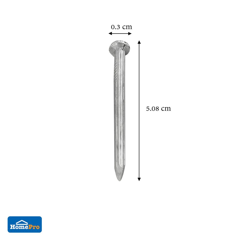 ตะปูคอนกรีตขาว DEXZON 2-1/2 นิ้ว แพ็ก 20 ชิ้น