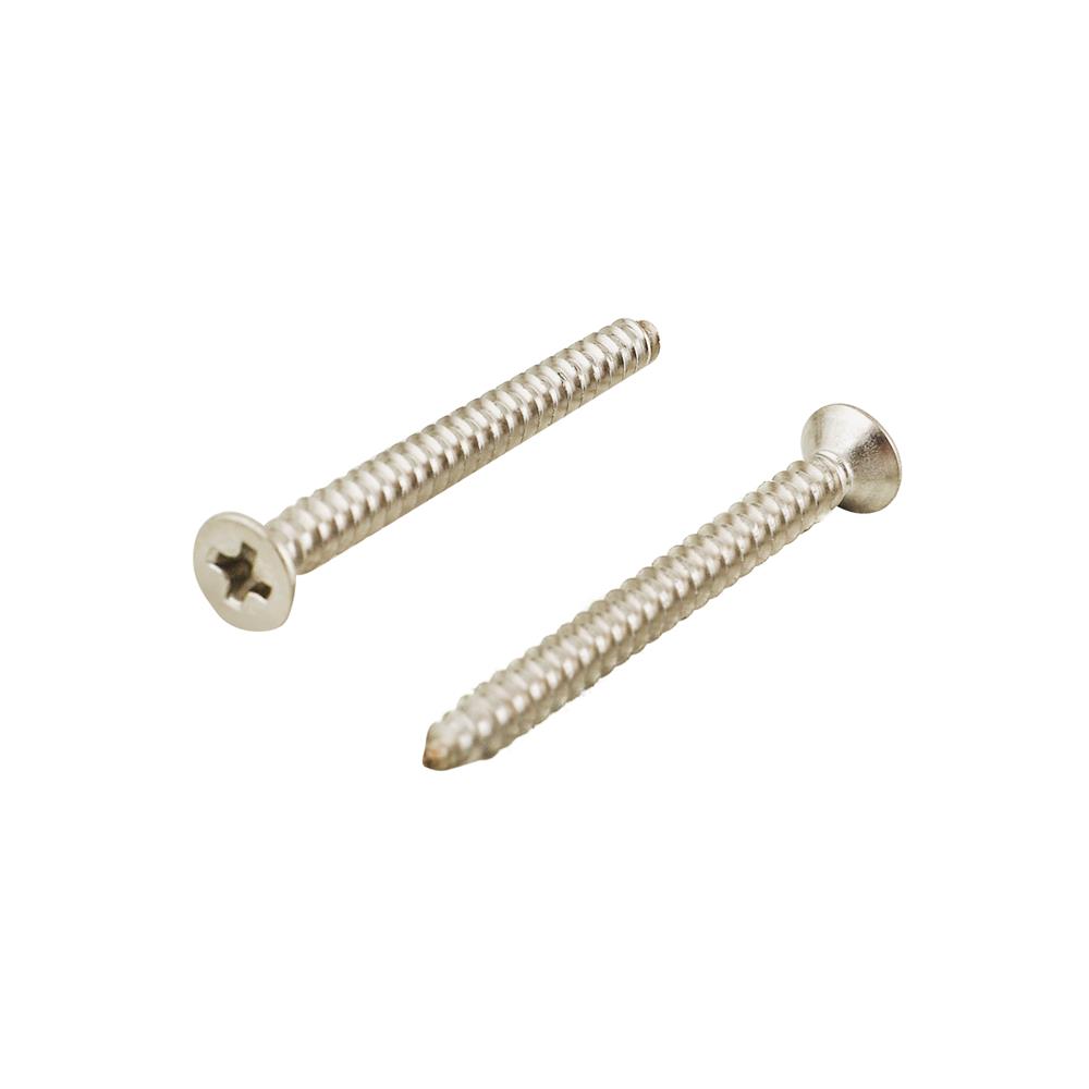 สกรูเกลียวปล่อย TF DEXZON 3.5X40 มม. 10 ตัว