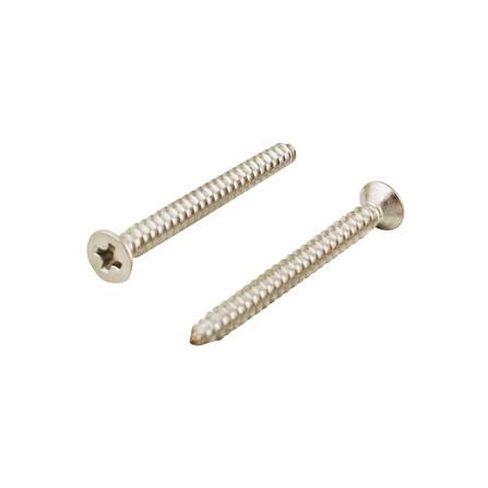 สกรูเกลียวปล่อย TF DEXZON 3.5X40 มม. 10 ตัว