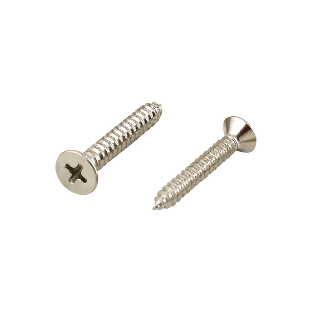 สกรูเกลียวปล่อย TF DEXZON 10X1-1/4 นิ้ว 25 ตัว