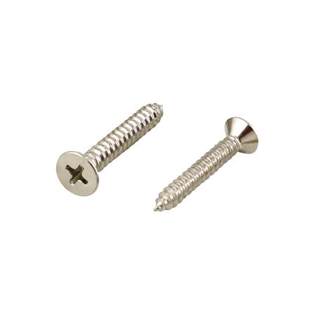 สกรูเกลียวปล่อย TF DEXZON 10X1-1/4 นิ้ว 25 ตัว