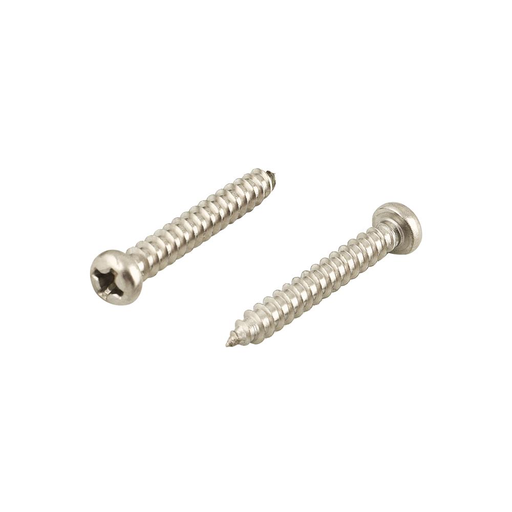 สกรูเกลียวปล่อย TP DEXZON 3.5X25 มม. 25ตัว