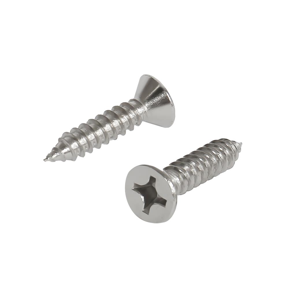 สกรูเกลียวปล่อย TF DEXZON 12X1 นิ้ว 25 ตัว