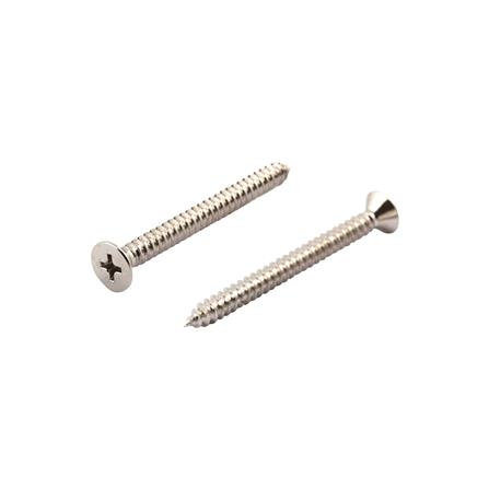 สกรูเกลียวปล่อย TF DEXZON 10X2 นิ้ว 25 ตัว_0