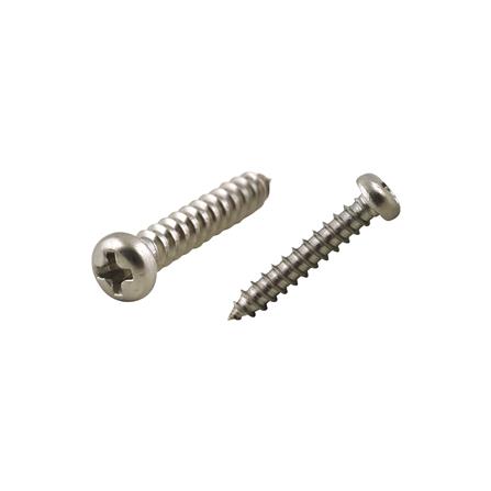 สกรูเกลียวปล่อย TP DEXZON 3.5X20 มม. 25 ตัว_0