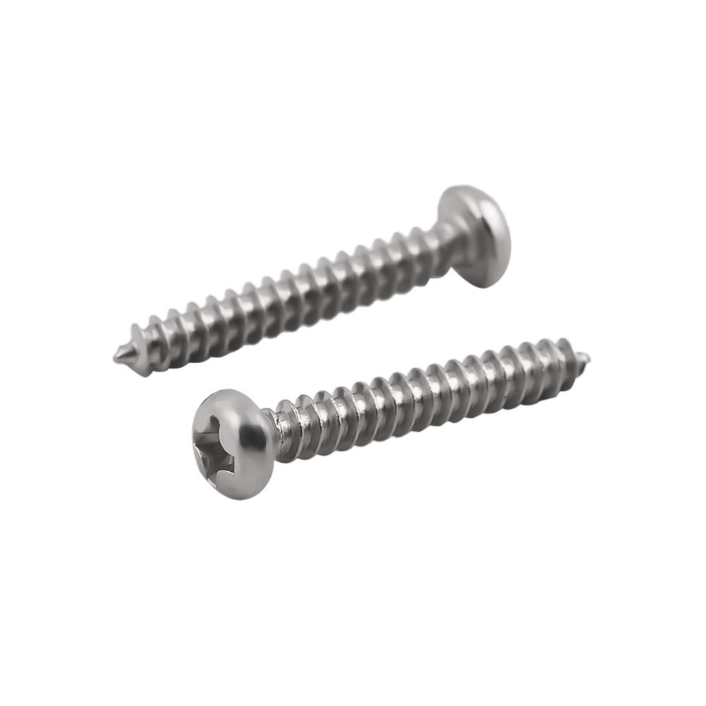 สกรูเกลียวปล่อย TP DEXZON 3X20 มม. 25 ตัว