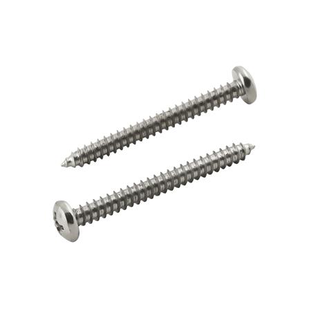 สกรูเกลียวปล่อย TP DEXZON 12X2 นิ้ว 25 ตัว