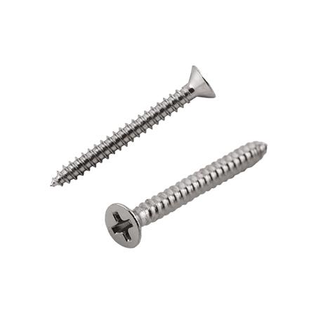 สกรูเกลียวปล่อย TF DEXZON 6X1-1/4 นิ้ว 25 ตัว