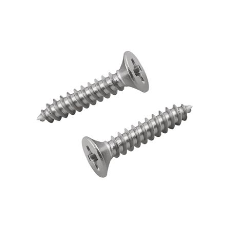 สกรูเกลียวปล่อย TF DEXZON 3X15 มม. 25 ตัว