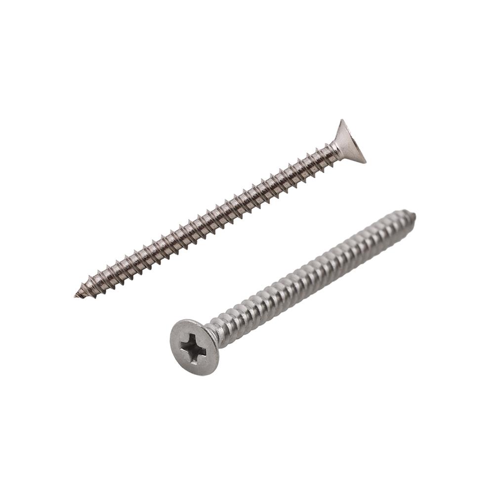 สกรูเกลียวปล่อย TF DEXZON 4X50 มม. 10 ตัว