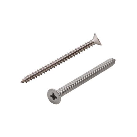 สกรูเกลียวปล่อย TF DEXZON 4X50 มม. 10 ตัว_0