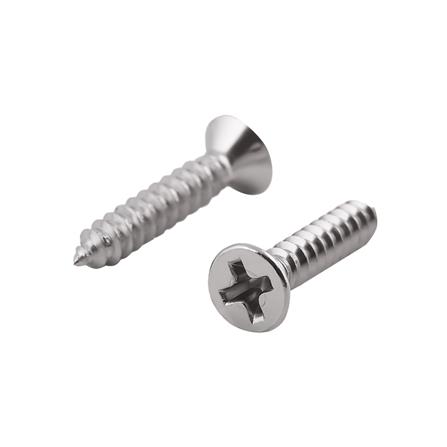 สกรูเกลียวปล่อย TF DEXZON 6X3/4 นิ้ว 25 ตัว