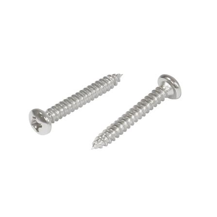 สกรูเกลียวปล่อย TP DEXZON 6X1 นิ้ว 25 ตัว