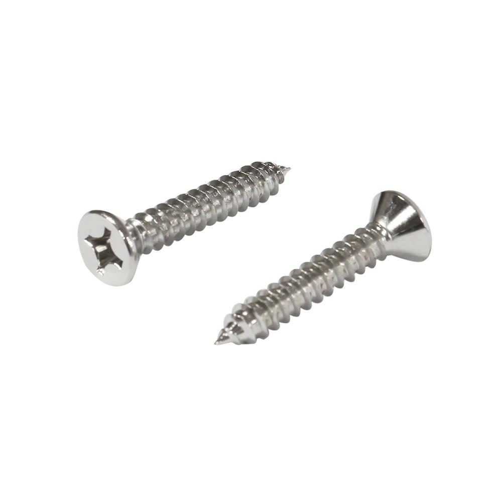 สกรูเกลียวปล่อย TF DEXZON 12X1-1/4 นิ้ว 25 ตัว