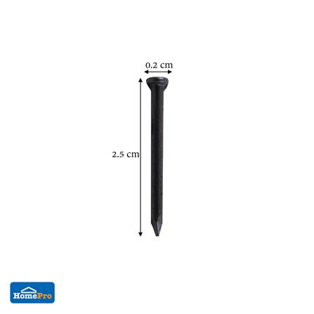 ตะปูคอนกรีตดำ DEXZON 25X2 มม. แพ็ก 100 ชิ้น_2